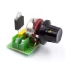 3000W Thyristor SCR Voltage Regulator Temperature Dimmer for Speed / Light (AC 220V)