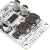 TPA3110 Mono Channel Digital Amplifier Board 30W Power Amplifier Module