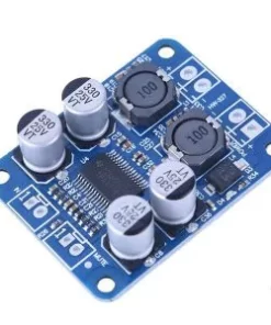 TPA3118 PBTL Mono Digital Amplifier Board 1X60W 12V 24V Power Amplifier Module