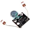 30S Sound Voice Music Recorder Board Photosensitive Wired Double button control Programmable Chip Audio Module For Greeting Card DIY