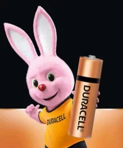 Duracell Alkaline AA Batteries - 1 Pcs