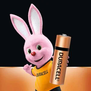 Duracell Alkaline AA Batteries - 1 Pcs